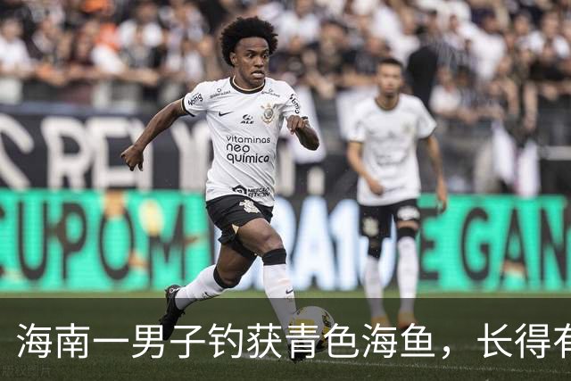 海南一男子钓获青色海鱼，长得有龙形，网友调侃：钓到了“南海龙王”